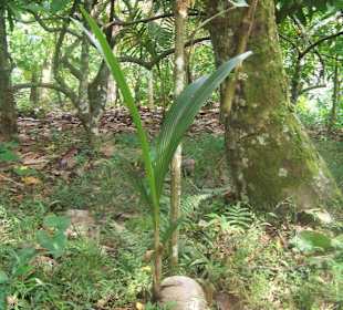 Neues Leben entsteht.