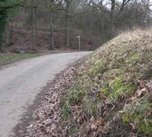 Unterjesinger Wengertwegle