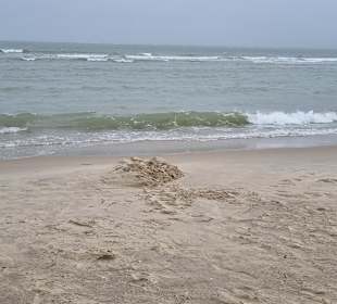 Strand Renesse
