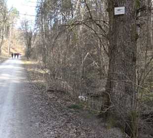 Geologischer Lehrpfad Kirnbachtal