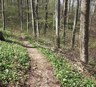 Wanderweg Hochgehkämpft