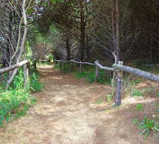 FKK-Bereich nach dem Leuchtturm Richtung Lignano am Wald