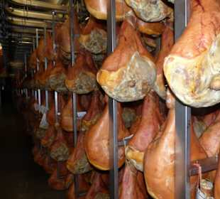 Ruheraum für Schinken