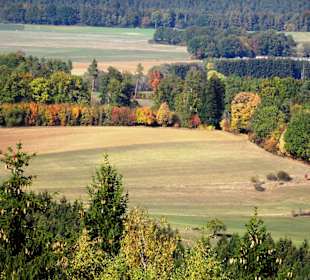 Landschaft