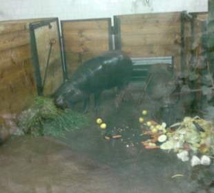 Zoo Olomouc