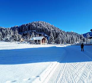 Skigebiet Bellamonte