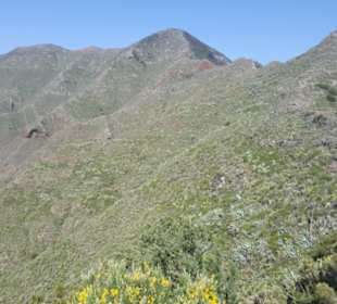 Mirador de Baracan in Buenavista del Norte