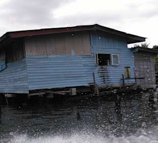 Mit Green Mango die Klongs von BKK entdecken.