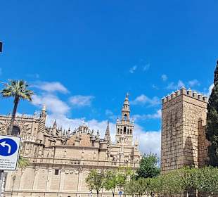 Plaza del Triunfo in Sevilla