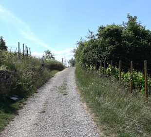 Früchtetrauf - Wurmlinger Kapellenwegle