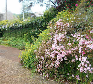 Palheiro Gardens