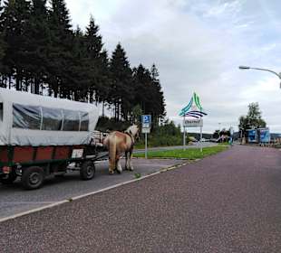 Pferdekutschenfahrt Oberhof