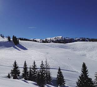 Skigebiet Loferer Almenwelt