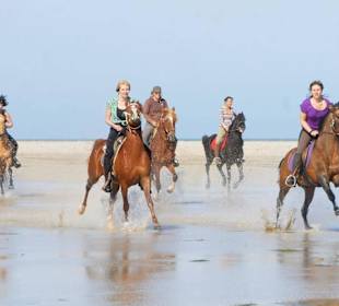 Beach Riding