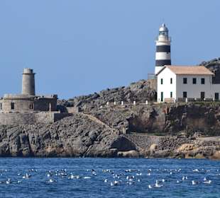 Port de Soller, Bucht