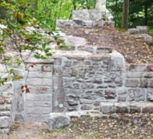 Ruine Schlossberg Altensteig