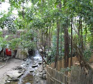 Jungle Cabana
