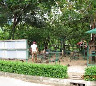 Lumpini-Park