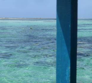 Ausflug Glasbodenboot Diani Beach