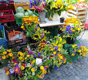 Impressionen vom Rundgang über den Wochenmarkt