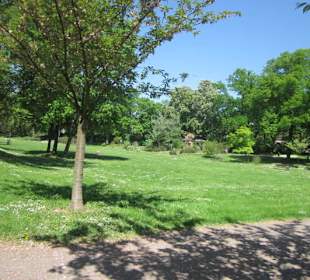 Altstadt Landau Goethepark