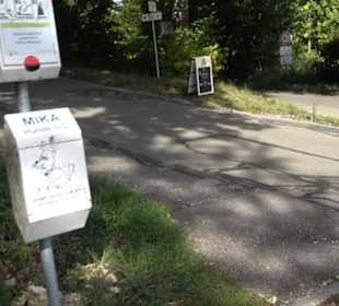 Wanderparkplatz Buchhalde Dottingen