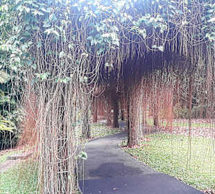 Botanischer Garten