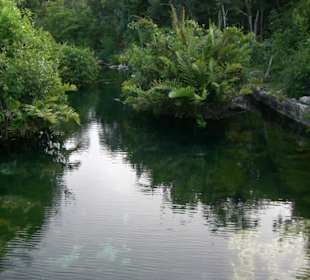 Cenote
