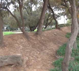 Carretera Del Arenal Balneario