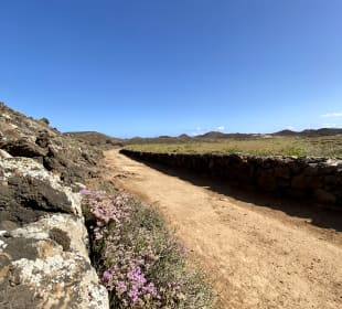 Karge, aber schöne kleine Insel