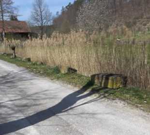 Spazierweg Ritter Museum