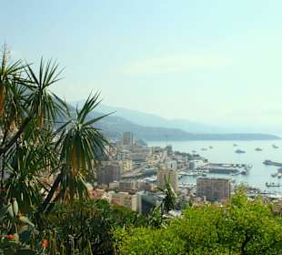Jardin dÉxotique - Monaco