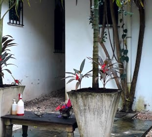 Eingang mit Raucherbereich