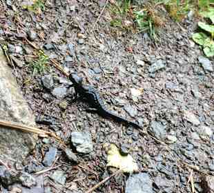 Wandern St. Leonhard