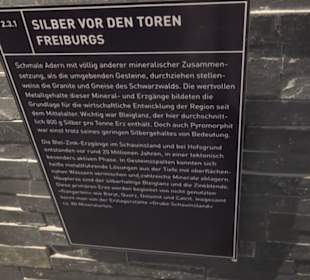 Museum für Naturkunde