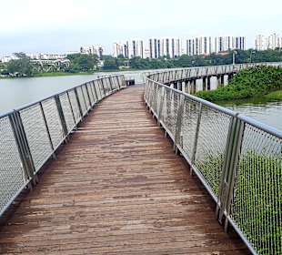 Jurong Lake und Gärten