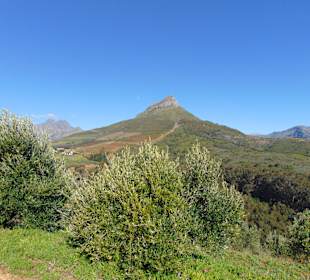 Weingut Tokara in Stellenbosch