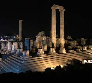 Ruine Didim