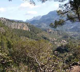 Blick ins Tal von Soller