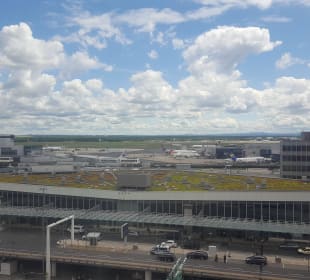 Ausblick