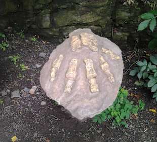 Юрский период