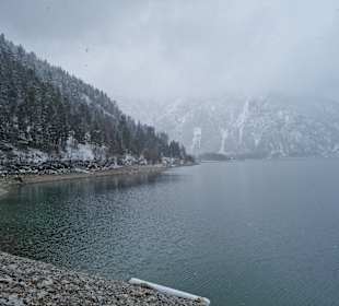 Plansee