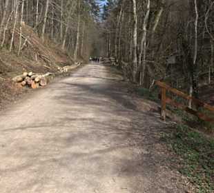 Geologischer Lehrpfad Kirnbachtal
