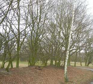 Naturschutzgebiet Boberger Niederung