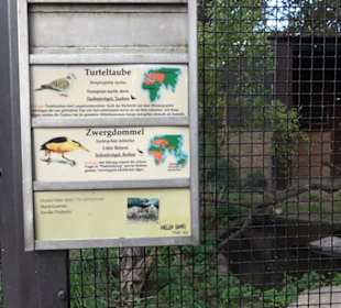 Zoologischer Garten