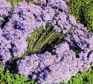 Impressionen aus dem Stadtgarten Vegesack