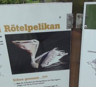 Südamaerika Bereich - Vogelpark