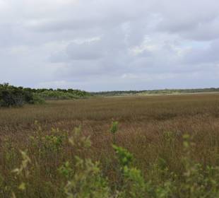 Die Weiten der Everglades