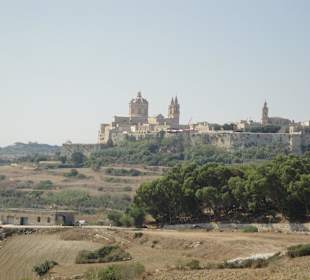 Mdina z perspektywy