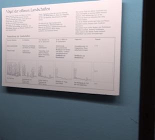 Museum für Naturkunde